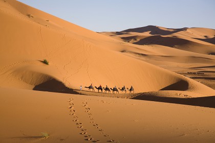 Désert au Maroc